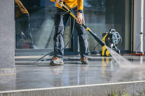 Animal Enclosure Cleaning in Mediapolis, IA