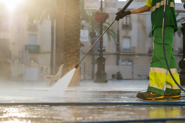 Best Dumpster Area Cleaning  in Medpolis, IA